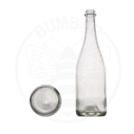 staklena boca Champenoise od 750 ml prozirna